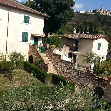 Feliziani & Trevi